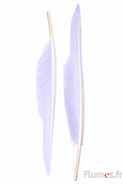 Schwan - 28-33 cm - weiss